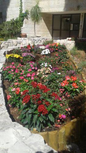 שתילת פרחים וצמחיה